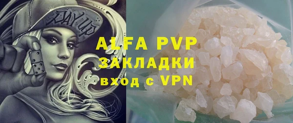 прущие грибы Новозыбков
