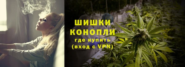 ПСИЛОЦИБИНОВЫЕ ГРИБЫ Новокубанск