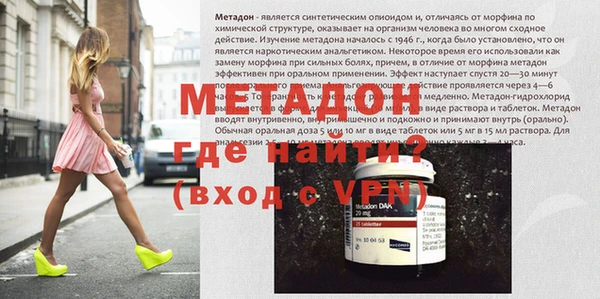 прущие грибы Новозыбков