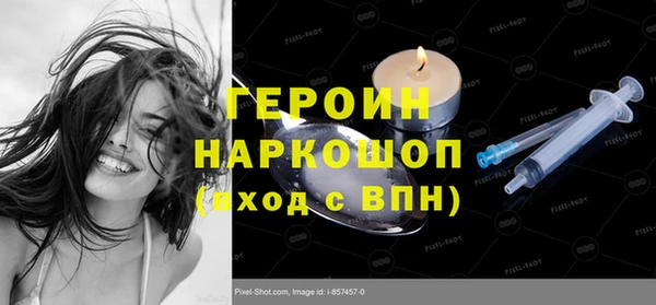 прущие грибы Новозыбков