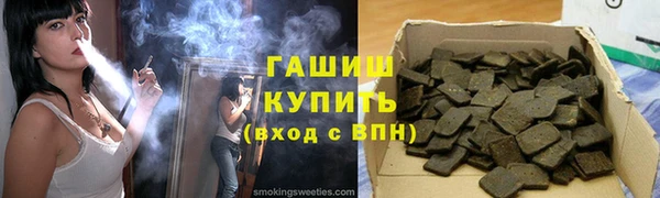 прущие грибы Новозыбков