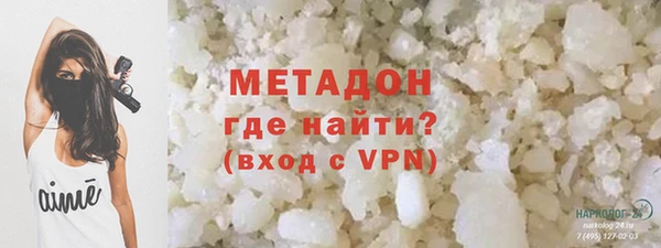 прущие грибы Новозыбков
