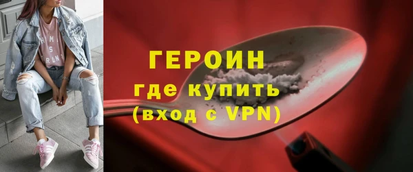 прущие грибы Новозыбков