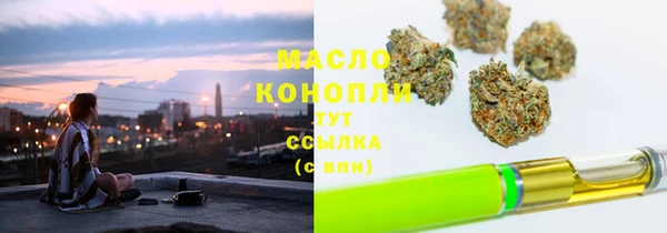 прущие грибы Новозыбков