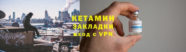 прущие грибы Новозыбков