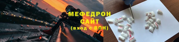 прущие грибы Новозыбков