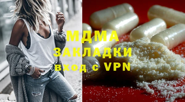 прущие грибы Новозыбков