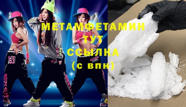 прущие грибы Новозыбков