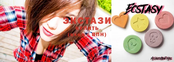прущие грибы Новозыбков