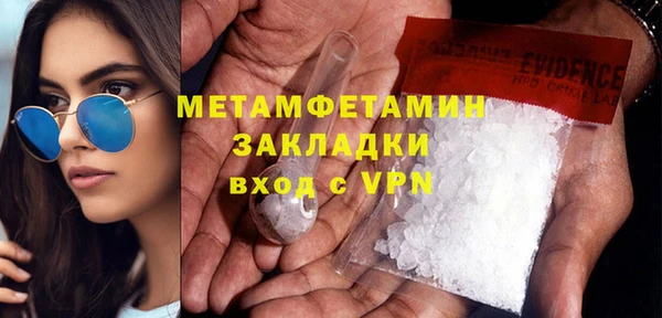 прущие грибы Новозыбков