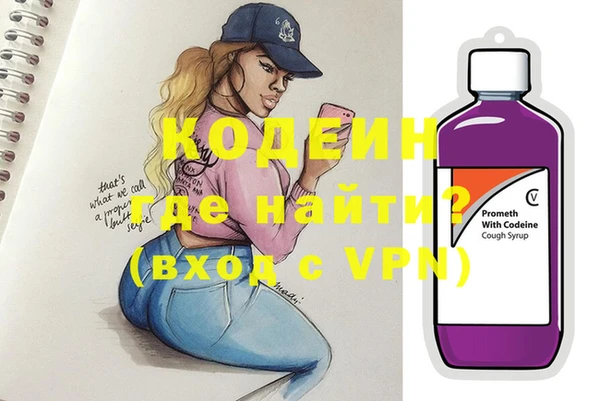 прущие грибы Новозыбков